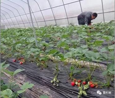 东海平台-推荐：白菜彩金网论坛
